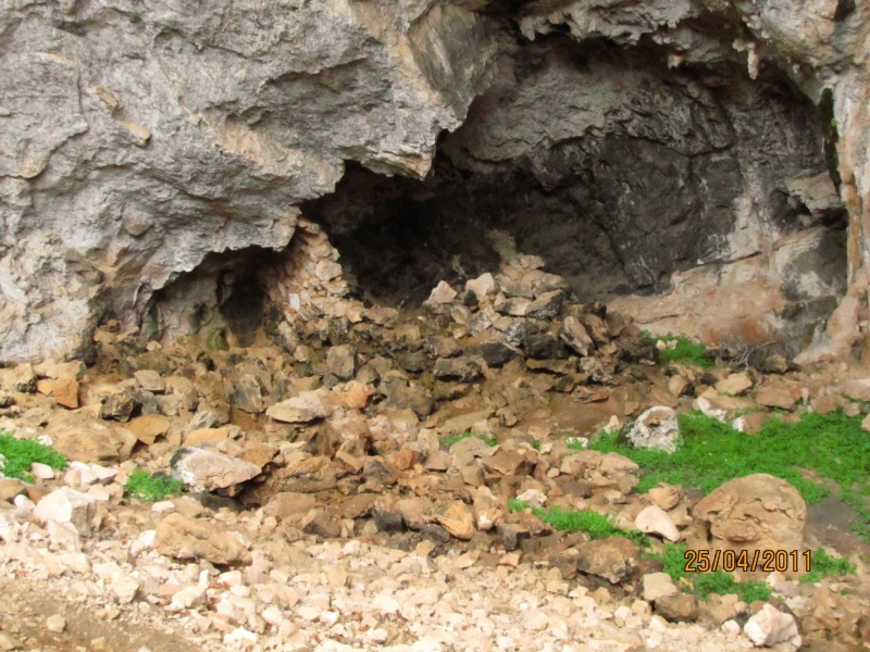 Clicca per vedere l'immagine alla massima grandezza