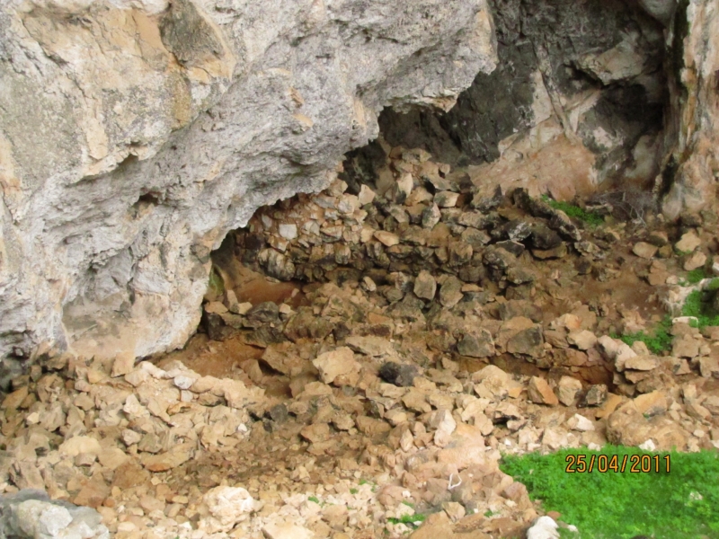 Clicca per vedere l'immagine alla massima grandezza
