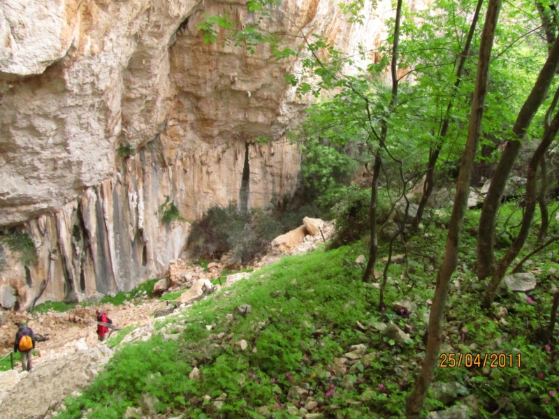 Clicca per vedere l'immagine alla massima grandezza
