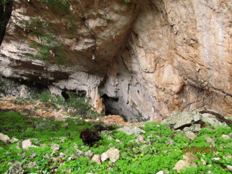 Clicca per vedere l'immagine alla massima grandezza