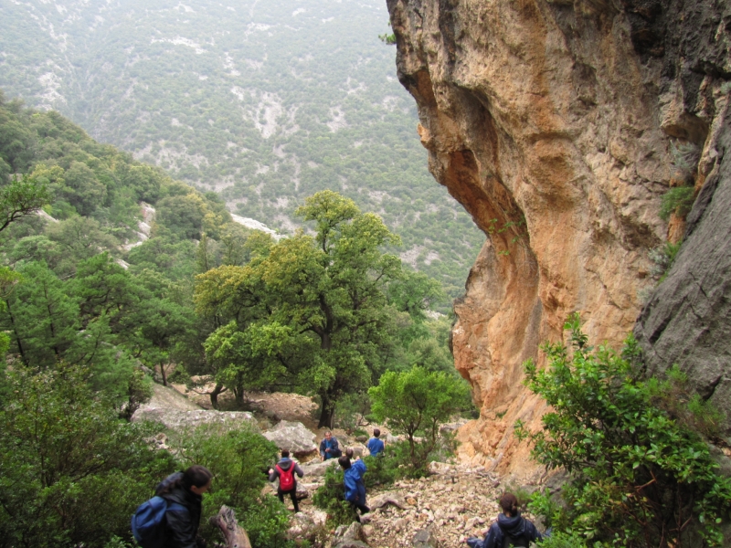 Clicca per vedere l'immagine alla massima grandezza