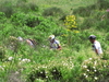 Nome del file=2011_06_02_xterra_Italy_mtb_race_4553.JPG
Dimensione del file=2364KiB
Dimensioni=2592x1944
Aggiunta il=03 Giu 2011 2011_06_02_xterra_Italy_mtb_race_4553.JPG