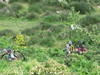 Nome del file=2011_06_02_xterra_Italy_mtb_race_4562.JPG
Dimensione del file=2493KiB
Dimensioni=2592x1944
Aggiunta il=03 Giu 2011 2011_06_02_xterra_Italy_mtb_race_4562.JPG