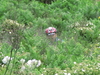 Nome del file=2011_06_02_xterra_Italy_mtb_race_4631.JPG
Dimensione del file=1824KiB
Dimensioni=2592x1944
Aggiunta il=03 Giu 2011 2011_06_02_xterra_Italy_mtb_race_4631.JPG