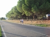 Nome del file=105_0784.JPG
Dimensione del file=558KiB
Dimensioni=2048x1536
Aggiunta il=24 Set 2011 105_0784.JPG