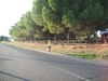 Nome del file=105_0808.JPG
Dimensione del file=547KiB
Dimensioni=2048x1536
Aggiunta il=24 Set 2011 105_0808.JPG