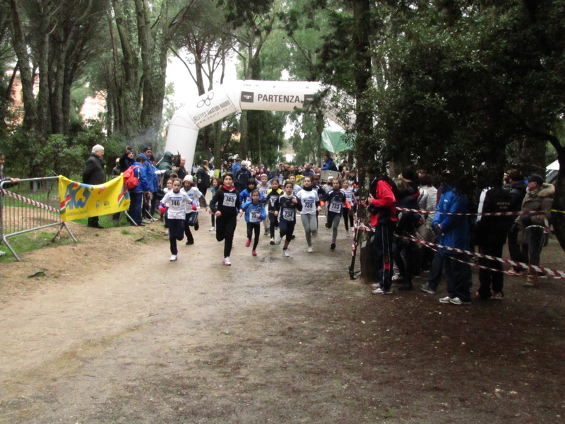 Clicca per vedere l'immagine alla massima grandezza