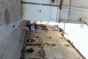 2013_05_18_corrinuoro_foto_massimo_locci_1778.JPG