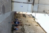 2013_05_18_corrinuoro_foto_massimo_locci_1780.JPG