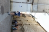 2013_05_18_corrinuoro_foto_massimo_locci_1782.JPG