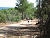 Nome del file=2013_10_06_bidderosa_011.jpg
Dimensione del file=2338KiB
Dimensioni=3264x2448
Aggiunta il=07 Ott 2013 2013_10_06_bidderosa_011.jpg