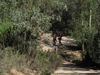 Nome del file=2013_10_06_bidderosa_059.jpg
Dimensione del file=2894KiB
Dimensioni=3264x2448
Aggiunta il=07 Ott 2013 2013_10_06_bidderosa_059.jpg