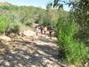 Nome del file=2013_10_06_bidderosa_062.jpg
Dimensione del file=2888KiB
Dimensioni=3264x2448
Aggiunta il=07 Ott 2013 2013_10_06_bidderosa_062.jpg