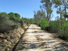 Nome del file=2013_10_06_bidderosa_063.jpg
Dimensione del file=2680KiB
Dimensioni=3264x2448
Aggiunta il=07 Ott 2013 2013_10_06_bidderosa_063.jpg