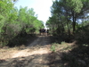 Nome del file=2013_10_06_bidderosa_066.jpg
Dimensione del file=2630KiB
Dimensioni=3264x2448
Aggiunta il=07 Ott 2013 2013_10_06_bidderosa_066.jpg