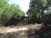 Nome del file=2013_10_06_bidderosa_067.jpg
Dimensione del file=2611KiB
Dimensioni=3264x2448
Aggiunta il=07 Ott 2013 2013_10_06_bidderosa_067.jpg