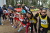 Nome del file=2014_02_02_cross_ugolio_graziano_sechi_4686.JPG
Dimensione del file=2680KiB
Dimensioni=2464x1632
Aggiunta il=11 Feb 2014 2014_02_02_cross_ugolio_graziano_sechi_4686.JPG