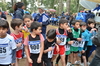 Nome del file=2014_02_02_cross_ugolio_graziano_sechi_4730.JPG
Dimensione del file=2117KiB
Dimensioni=2464x1632
Aggiunta il=11 Feb 2014 2014_02_02_cross_ugolio_graziano_sechi_4730.JPG