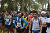 Nome del file=2014_02_02_cross_ugolio_graziano_sechi_5517.JPG
Dimensione del file=2265KiB
Dimensioni=2464x1632
Aggiunta il=11 Feb 2014 2014_02_02_cross_ugolio_graziano_sechi_5517.JPG