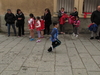 2014_05_03_bolotana_trofeo_olimpia_5864.JPG