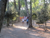 Nome del file=2014_08_01_corri_per_il_porcetto_7902.JPG
Dimensione del file=2914KiB
Dimensioni=3264x2448
Aggiunta il=03 Ago 2014 2014_08_01_corri_per_il_porcetto_7902.JPG