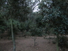 Nome del file=2014_08_01_corri_per_il_porcetto_8066.JPG
Dimensione del file=2191KiB
Dimensioni=3264x2448
Aggiunta il=03 Ago 2014 2014_08_01_corri_per_il_porcetto_8066.JPG