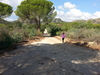 Nome del file=2014_10_05_bidderosa_111233.jpg
Dimensione del file=712KiB
Dimensioni=1280x960
Aggiunta il=05 Ott 2014 2014_10_05_bidderosa_111233.jpg