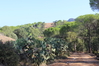 Nome del file=2014_10_05_bidderosa_3981_foto.JPG
Dimensione del file=822KiB
Dimensioni=1280x853
Aggiunta il=30 Ott 2014 2014_10_05_bidderosa_3981_foto.JPG