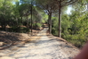 Nome del file=2014_10_05_bidderosa_3991_foto.JPG
Dimensione del file=1175KiB
Dimensioni=1280x853
Aggiunta il=30 Ott 2014 2014_10_05_bidderosa_3991_foto.JPG