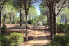 Nome del file=2014_10_05_bidderosa_3993_foto.JPG
Dimensione del file=1080KiB
Dimensioni=1280x853
Aggiunta il=30 Ott 2014 2014_10_05_bidderosa_3993_foto.JPG