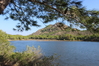 Nome del file=2014_10_05_bidderosa_4001_foto.JPG
Dimensione del file=1080KiB
Dimensioni=1280x853
Aggiunta il=30 Ott 2014 2014_10_05_bidderosa_4001_foto.JPG