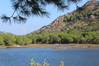 Nome del file=2014_10_05_bidderosa_4002_foto.JPG
Dimensione del file=571KiB
Dimensioni=1280x853
Aggiunta il=30 Ott 2014 2014_10_05_bidderosa_4002_foto.JPG