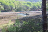 Nome del file=2014_10_05_bidderosa_4008_foto.JPG
Dimensione del file=914KiB
Dimensioni=1280x853
Aggiunta il=30 Ott 2014 2014_10_05_bidderosa_4008_foto.JPG