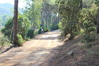 2014_10_05_bidderosa_4012_foto.JPG
