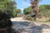 Nome del file=2014_10_05_bidderosa_4017_foto.JPG
Dimensione del file=997KiB
Dimensioni=1280x853
Aggiunta il=30 Ott 2014 2014_10_05_bidderosa_4017_foto.JPG
