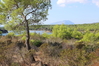 Nome del file=2014_10_05_bidderosa_4027_foto.JPG
Dimensione del file=1079KiB
Dimensioni=1280x853
Aggiunta il=30 Ott 2014 2014_10_05_bidderosa_4027_foto.JPG
