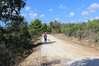2014_10_05_bidderosa_4030_foto.JPG