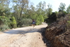 Nome del file=2014_10_05_bidderosa_4035_foto.JPG
Dimensione del file=1101KiB
Dimensioni=1280x853
Aggiunta il=30 Ott 2014 2014_10_05_bidderosa_4035_foto.JPG