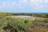 Nome del file=2014_10_05_bidderosa_4044_foto.JPG
Dimensione del file=774KiB
Dimensioni=1280x853
Aggiunta il=30 Ott 2014 2014_10_05_bidderosa_4044_foto.JPG