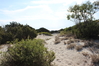 2014_10_05_bidderosa_4057_foto.JPG