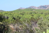 Nome del file=2014_10_05_bidderosa_4191_foto.JPG
Dimensione del file=958KiB
Dimensioni=1280x853
Aggiunta il=30 Ott 2014 2014_10_05_bidderosa_4191_foto.JPG