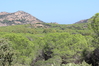 Nome del file=2014_10_05_bidderosa_4193_foto.JPG
Dimensione del file=888KiB
Dimensioni=1280x853
Aggiunta il=30 Ott 2014 2014_10_05_bidderosa_4193_foto.JPG
