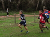 Nome del file=2015_01_25_san_sperate_cross_9633.JPG
Dimensione del file=347KiB
Dimensioni=1280x960
Aggiunta il=25 Gen 2015 2015_01_25_san_sperate_cross_9633.JPG
