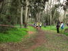 2015_01_25_san_sperate_cross_9656.JPG