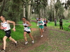 2015_01_25_san_sperate_cross_9662.JPG
