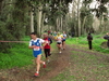 2015_01_25_san_sperate_cross_9682.JPG