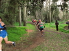 2015_01_25_san_sperate_cross_9685.JPG
