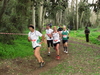2015_01_25_san_sperate_cross_9691.JPG