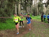 2015_01_25_san_sperate_cross_9692.JPG