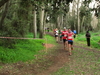 2015_01_25_san_sperate_cross_9698.JPG